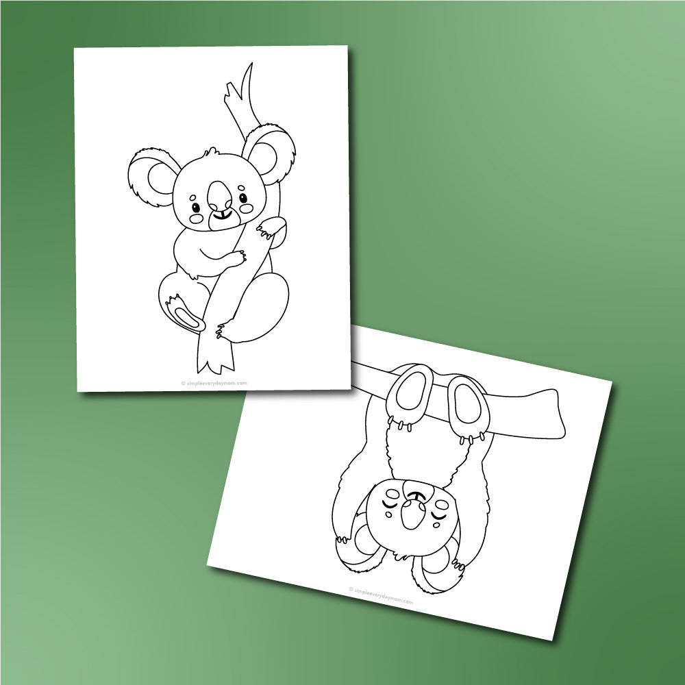 Koala coloring pages for kids â simple everyday mom