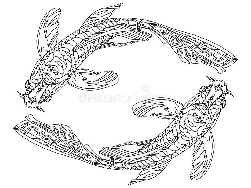 Koi carp fish coloring book for adults vector stock vector