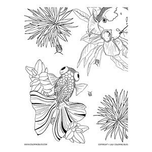 Koi fish coloring page