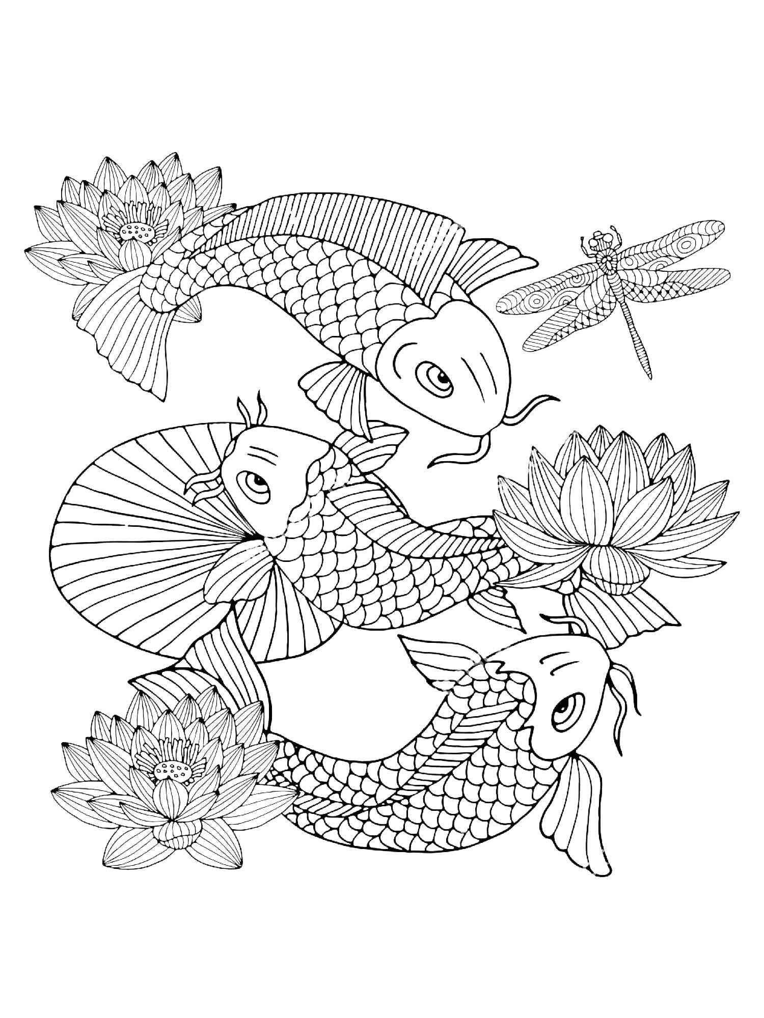 Koi fish coloring pages for adults