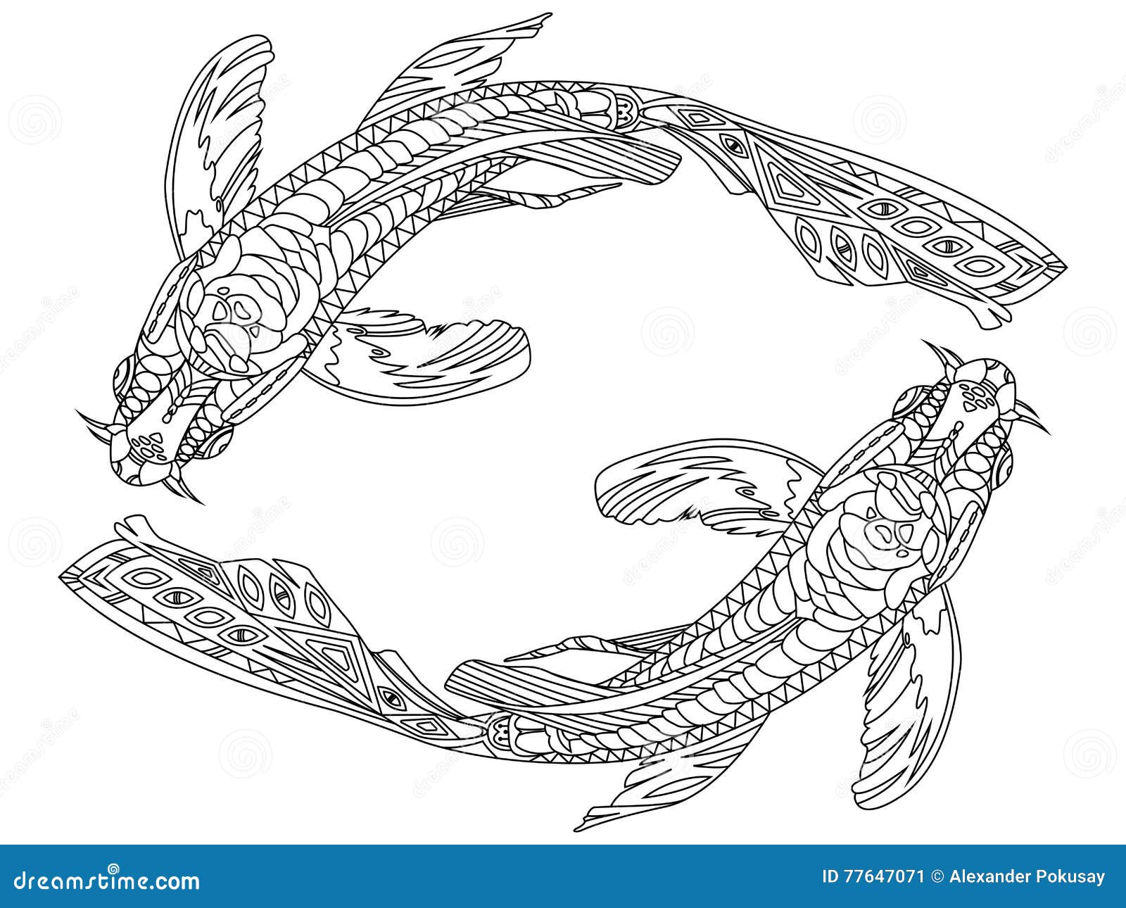 Koi carp fish coloring book for adults vector stock vector