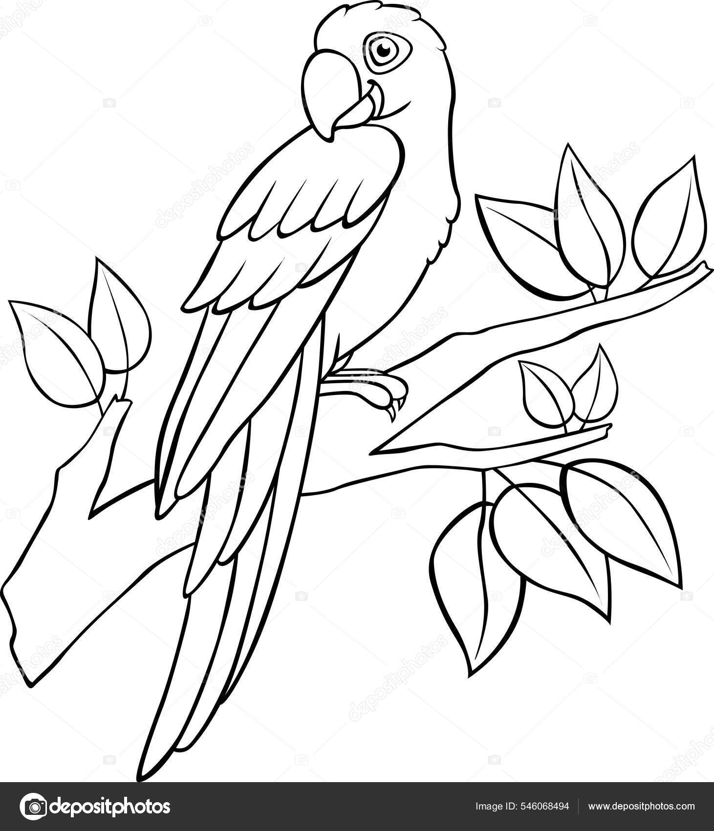 Kolorowanki cute papuga niebieski macaw siedzi gaåäzi drzewa uåmiecha grafika wektorowa od ya