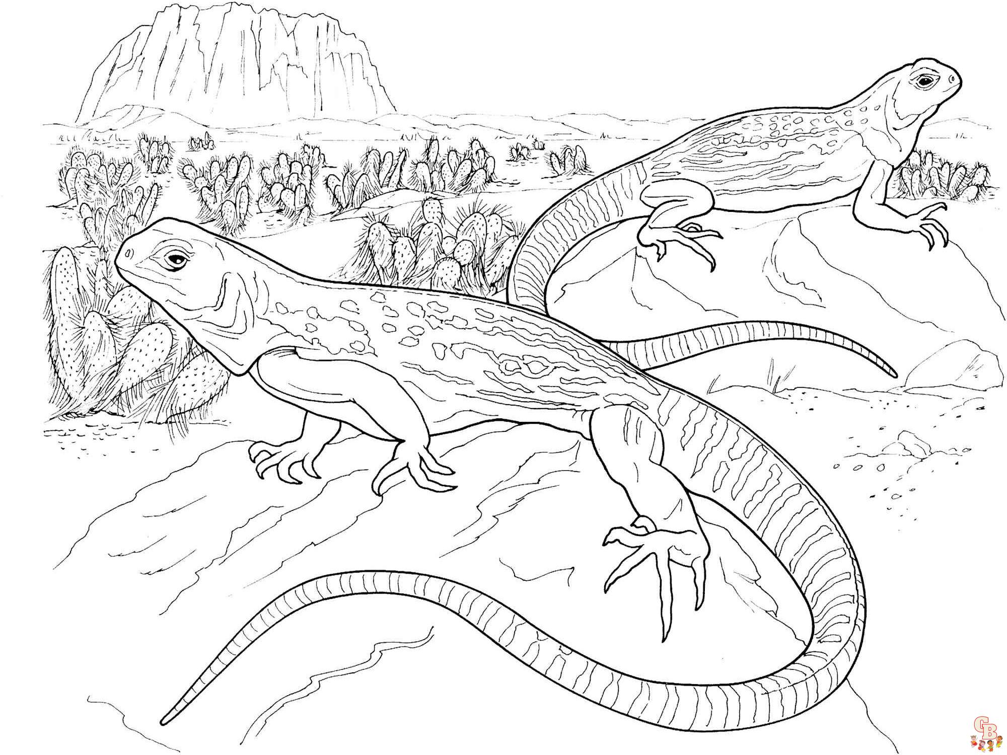 Discover fun with bearded dragon coloring pages