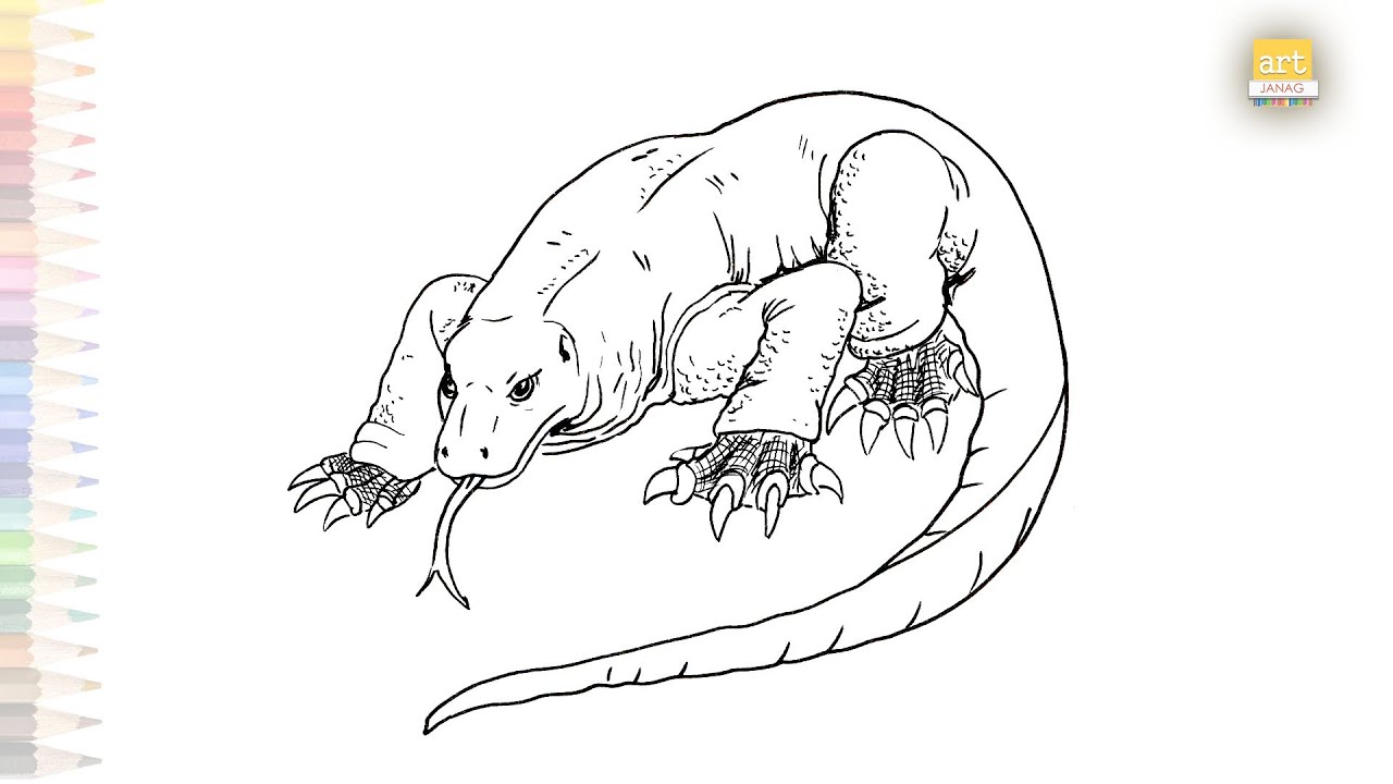 Indonesian komodo dragon drawing video komodo dragon drawing how to draw komodo dragon easy