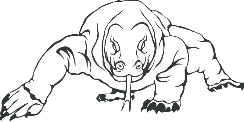 Komodo dragon line art vector stock vector