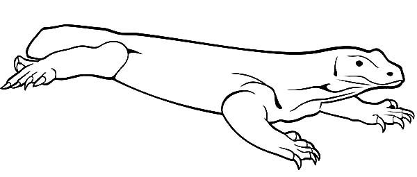 How to draw komodo dragon coloring pages