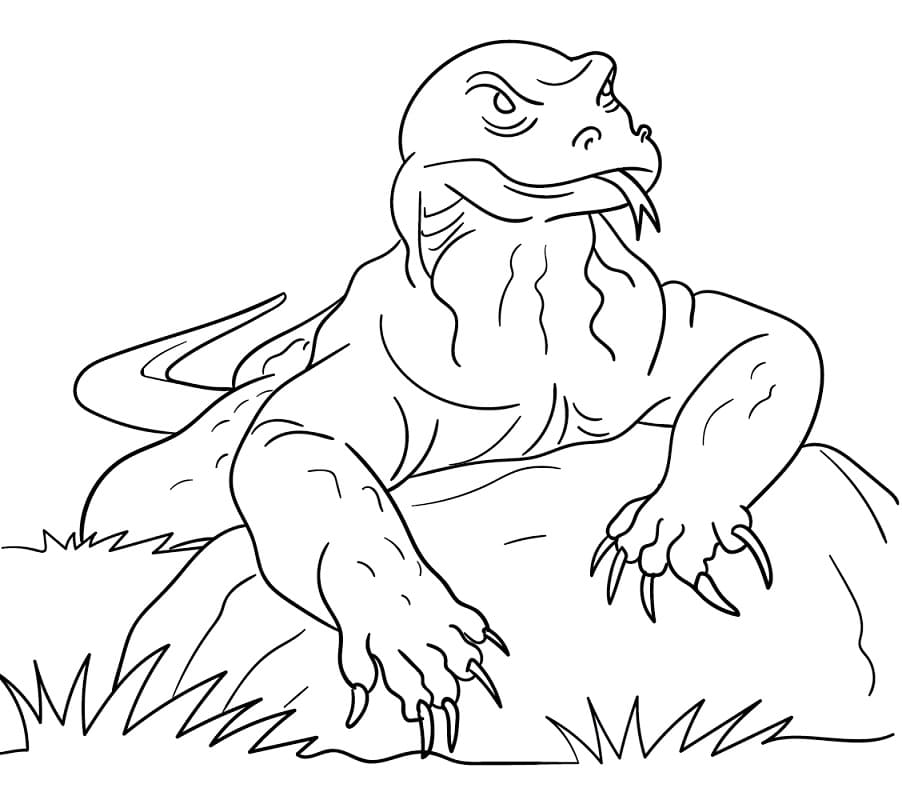 Komodo dragon on rock coloring page