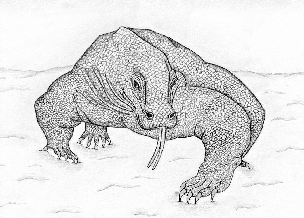 Komodo dragon by sofen on