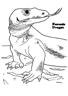 Best komodo dragon coloring pages eas dragon coloring page komodo dragon komodo