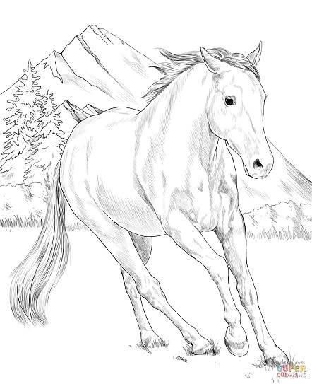 Konä omalovãnky na vytisknutã â seznamcz horse coloring books horse coloring pages horse painting