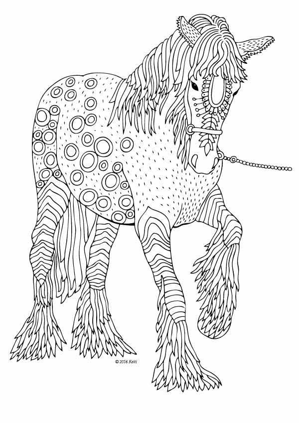 Kåå zboåã prodejce vãtvarnã potåeby horse coloring pages horse adult coloring horse coloring
