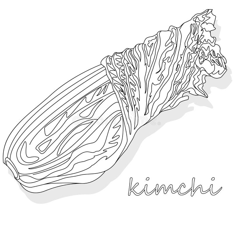 Kimchi traditional korean food illustration on white isolated stock illustration