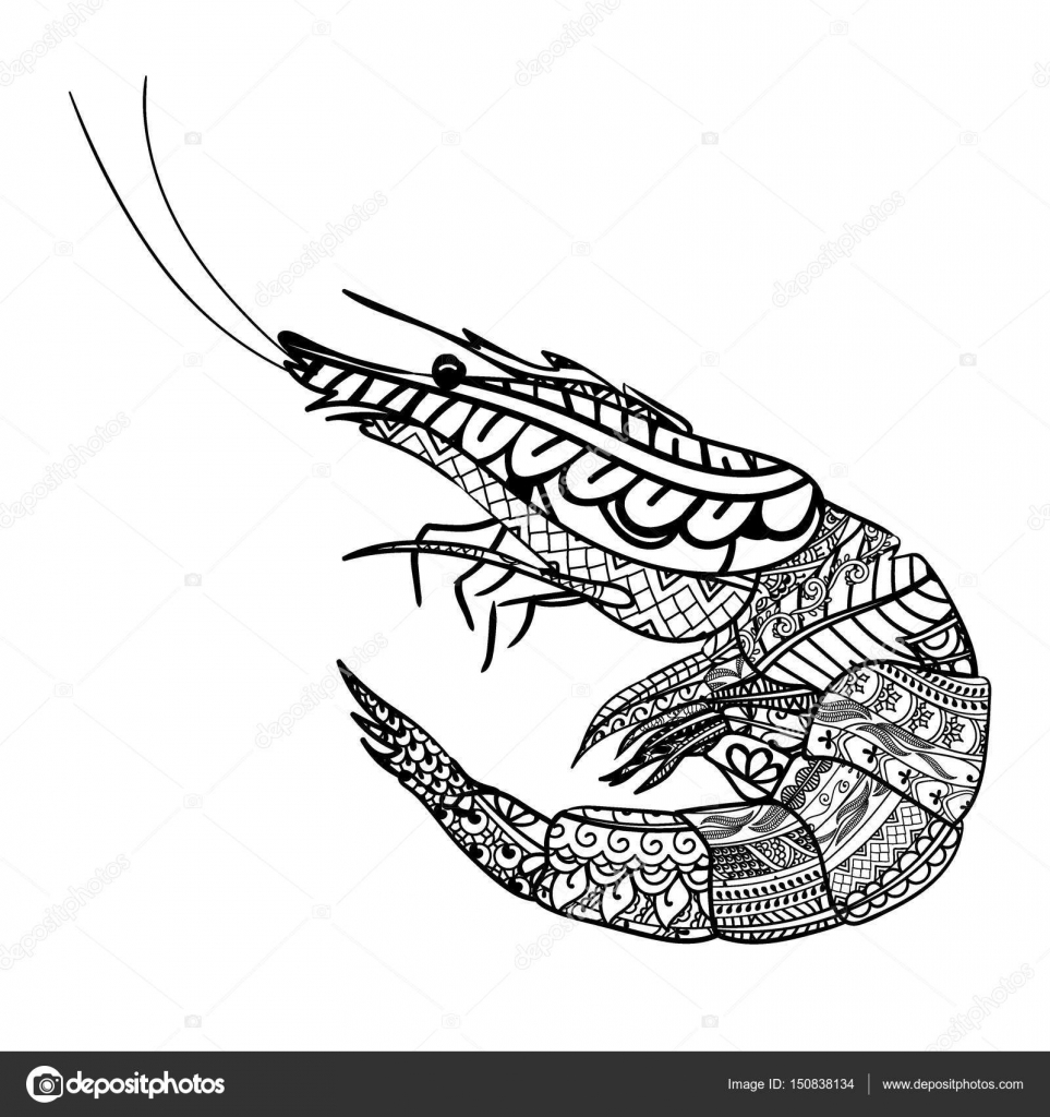 Krewetki z etnicznych doodle wzãr zentangle inspirowane wzãr dla anty stres kolorowanki ksiä åki dla dorosåych i dla dzieci grafika wektorowa od liluart