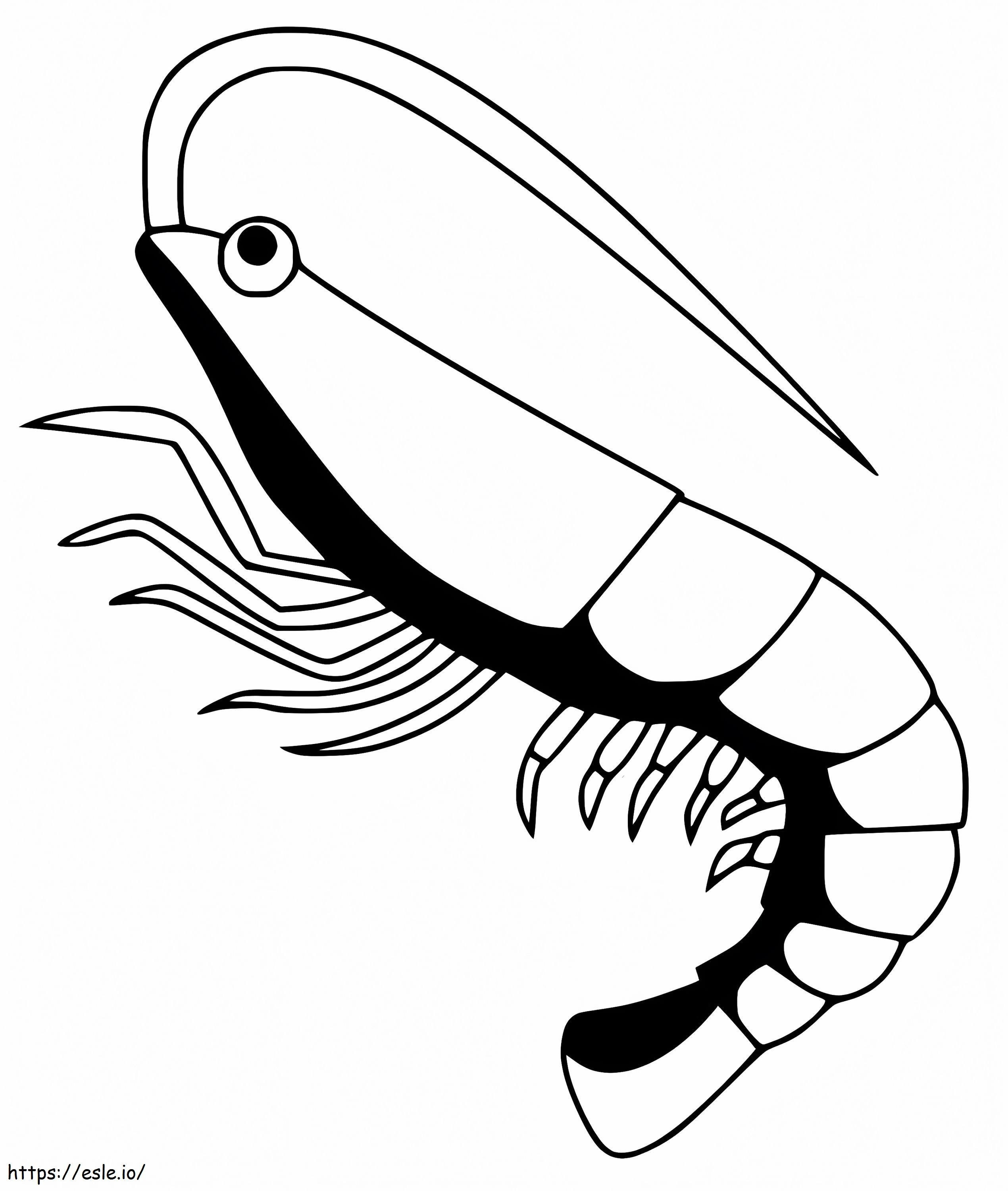 Krewetki kolorowanka