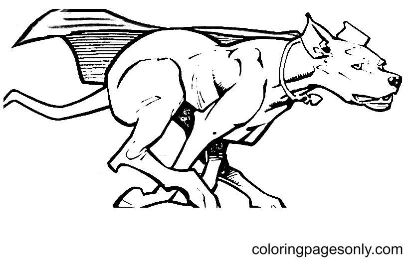 Krypto superdog coloring page