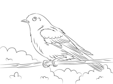 Free printable eastern bluebird coloring picture assignment sheets pictures for child