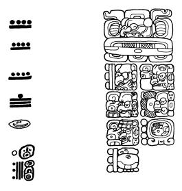 Schele drawing collection