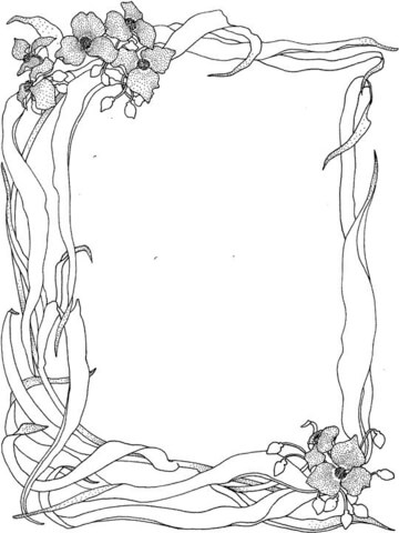 Villi luonto