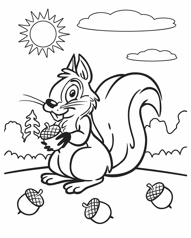Cartoon coloring pages cartoon coloring pages fall coloring pages squirrel coloring page