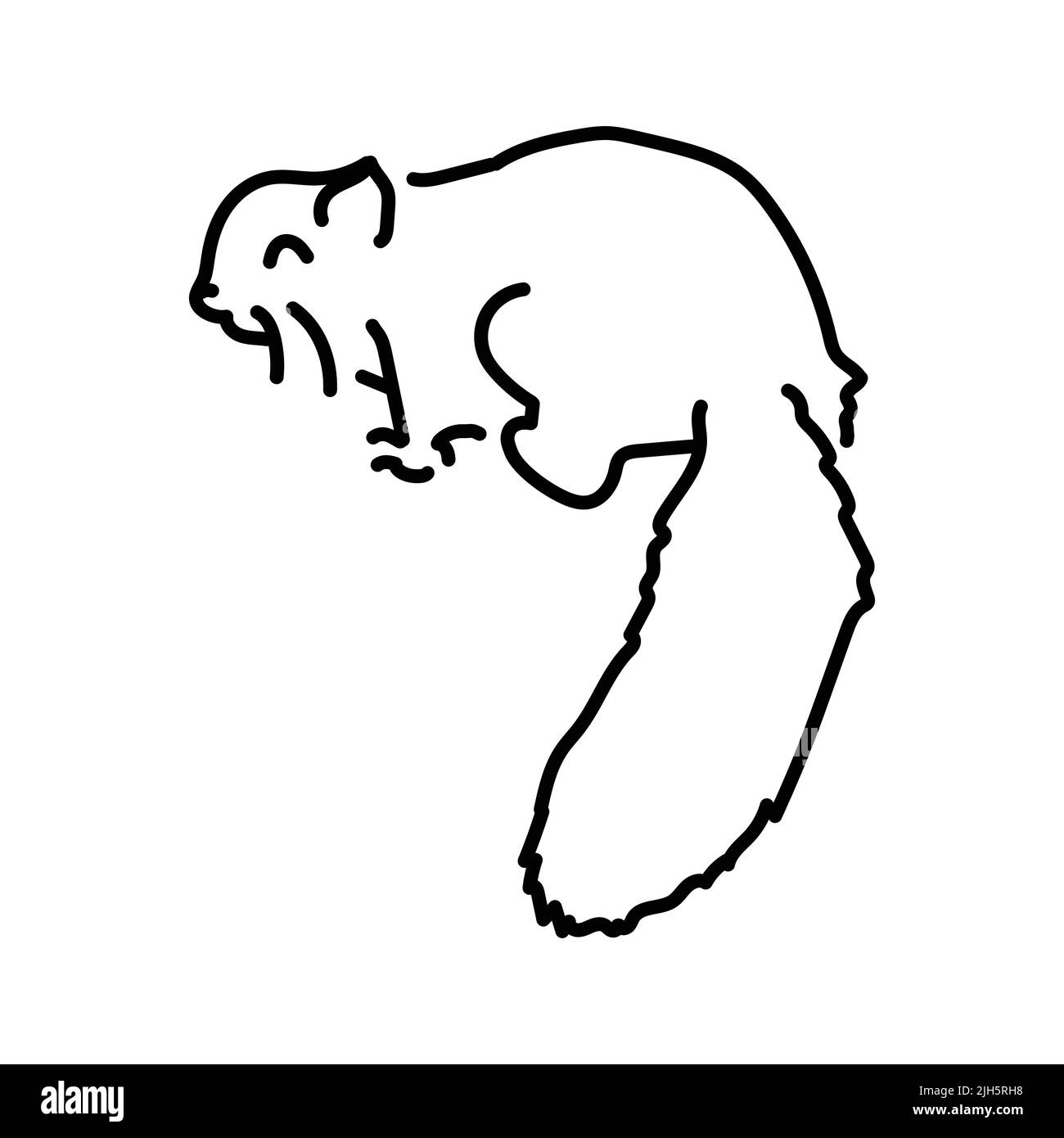 Ardilla voladora imãgen vectorial de stock