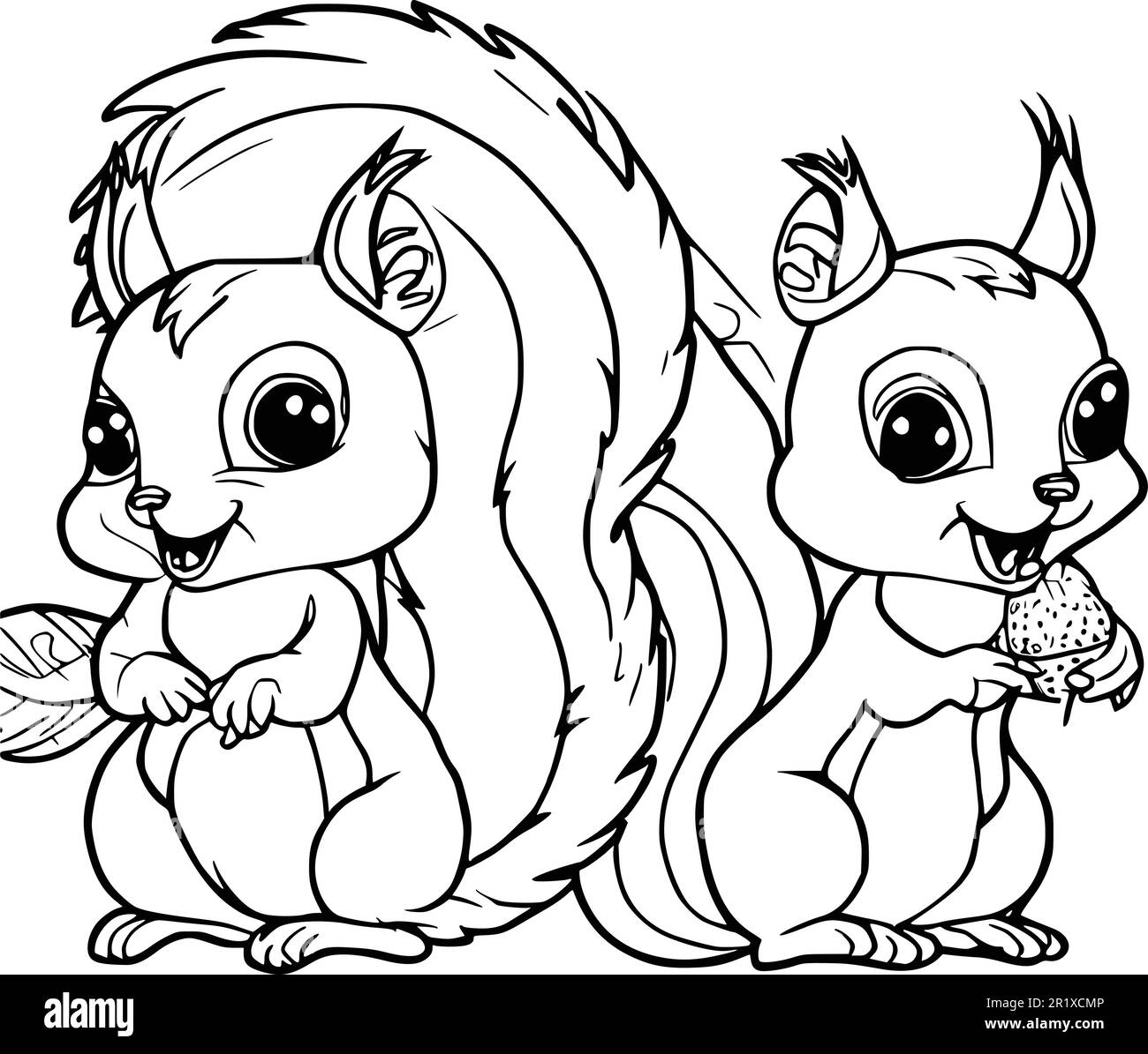 Vector de ardilla vector fotografãas e imãgen de alta roluciãn