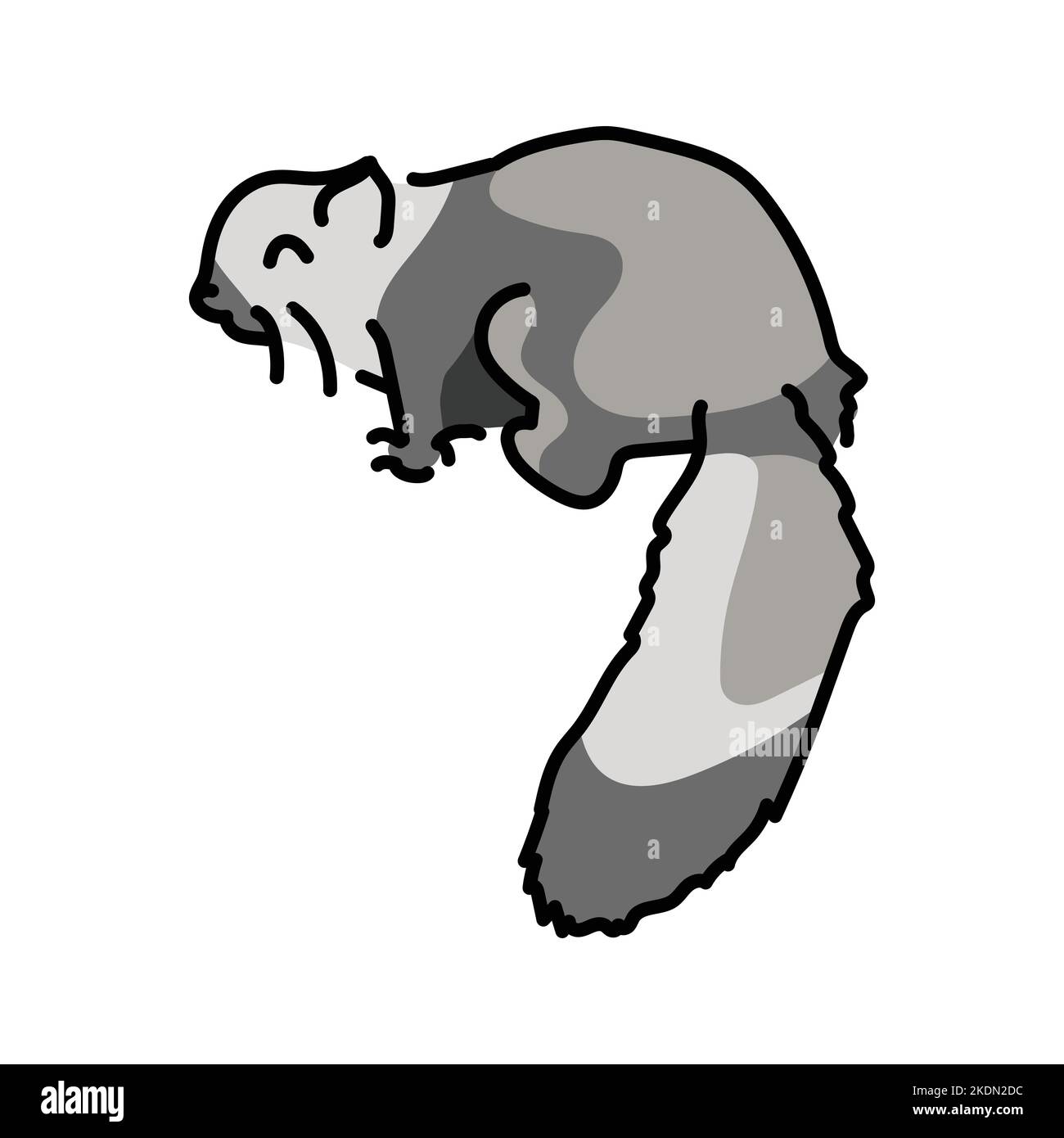 Ardilla voladora imãgen vectorial de stock