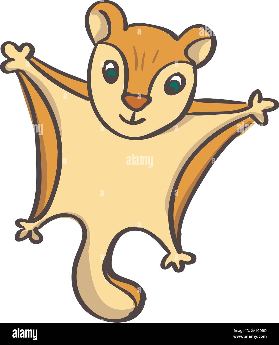 Ardilla voladora imãgen vectorial de stock