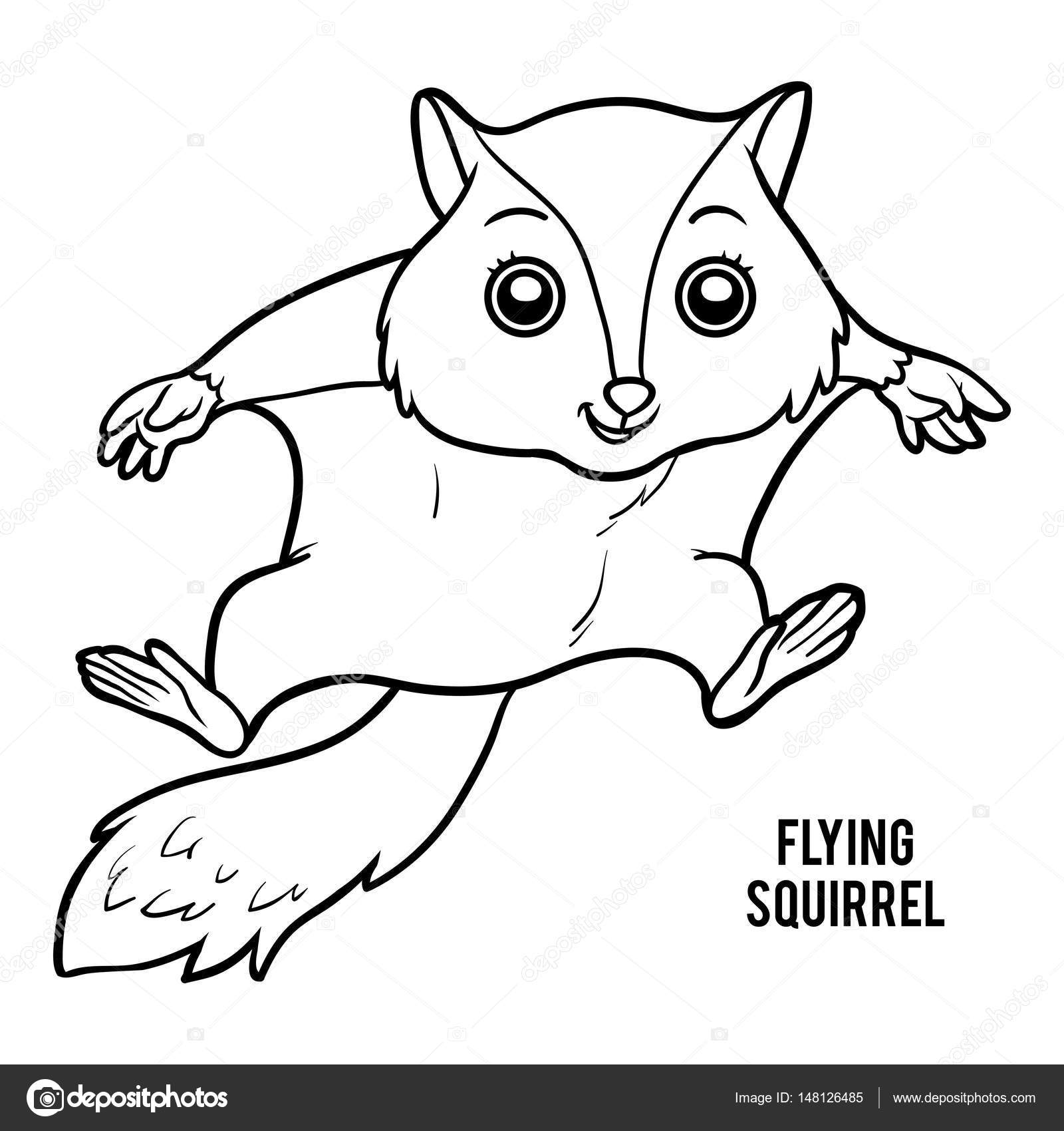 Coloring book flying squirrel stock vector by ksenyasavva
