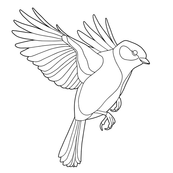Imãgenes fotos de stock objetos en d y vectores sobre bird outline coloring
