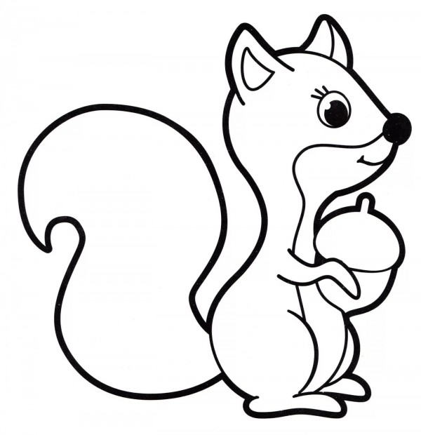 Dibujos de ardillas para colorear descargar e imprimir colorear imãgenes squirrel coloring page penguin coloring pages penguin coloring