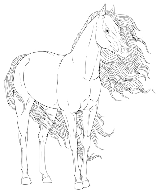 Premium vector horse coloring page