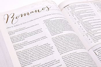 Rvr biblia de tudio para mujer tapa dura reina