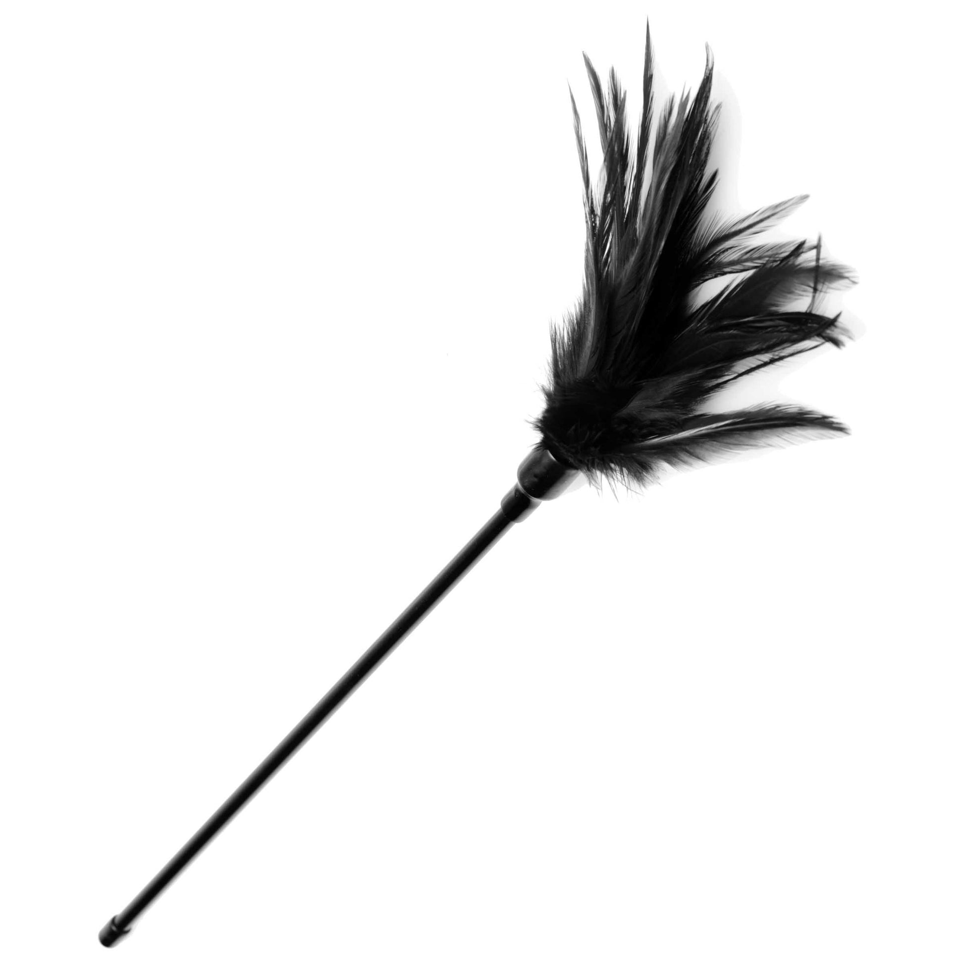 Le plume feather tickler