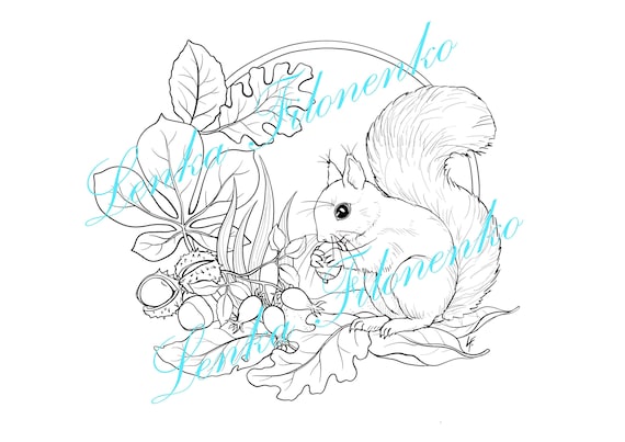 Coloring page line art cute squirrel autumn fall pdf download and print