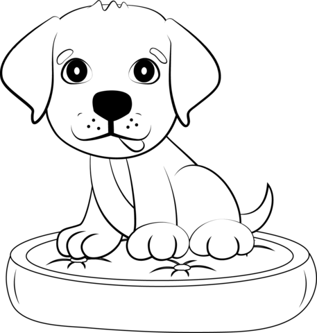Labrador puppy coloring page free printable coloring pages
