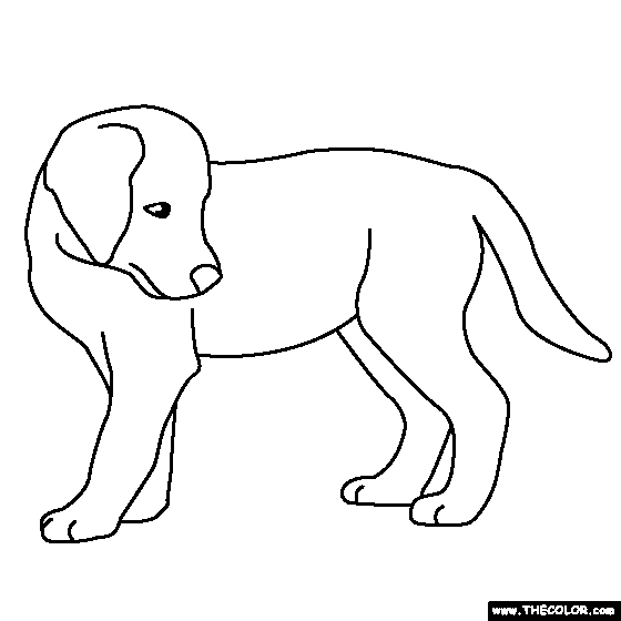 Dogs online coloring pages
