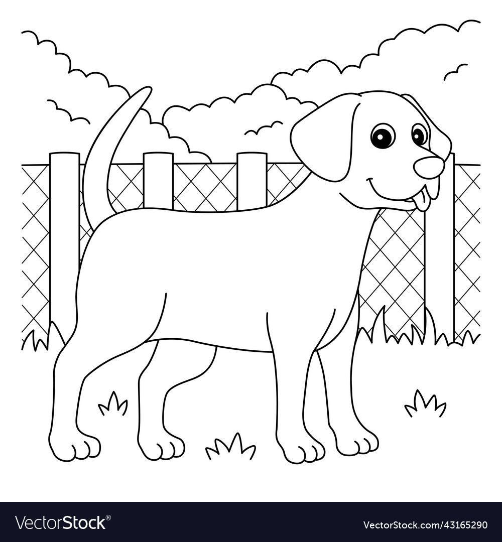 Chocolate lab dog coloring page for kids vector image