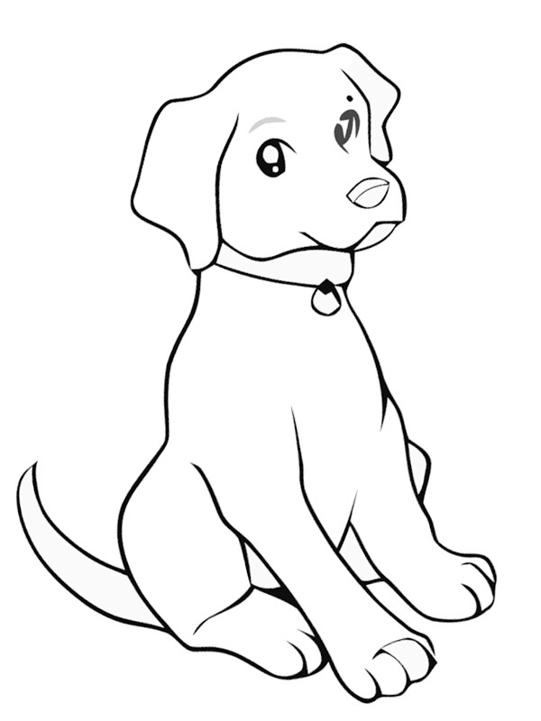 Labrador puppy coloring page