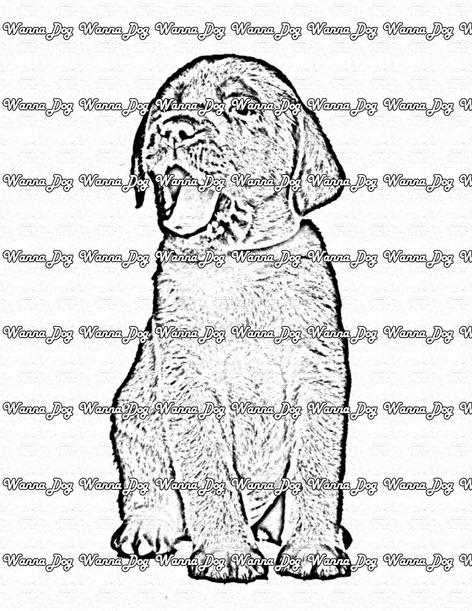 Lab puppy coloring pages â wanna dog