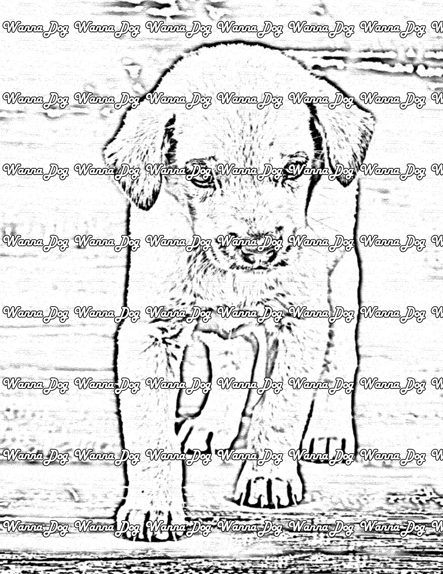 Lab puppy coloring pages â wanna dog