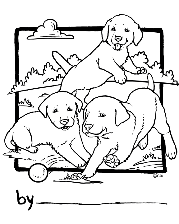Lab puppies playing with ball