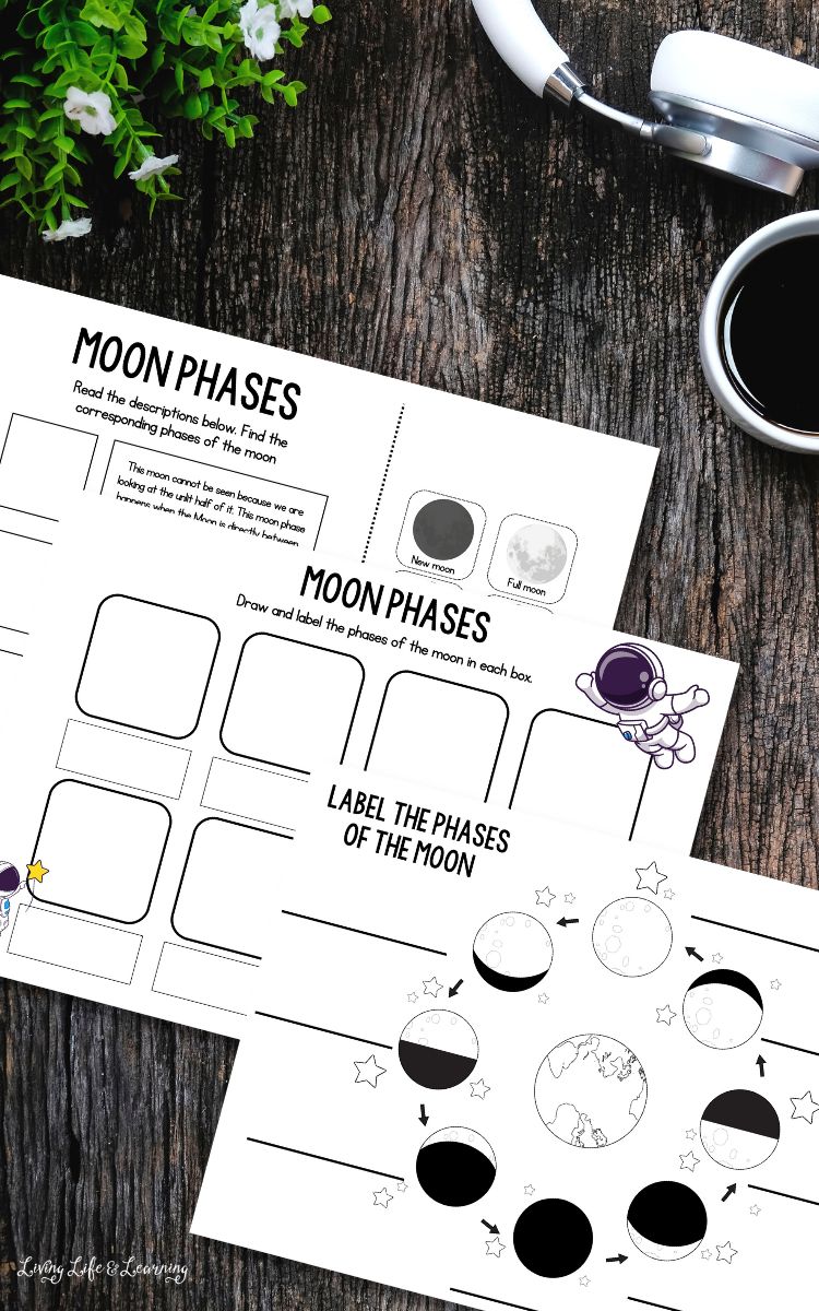 Moon phases coloring pages