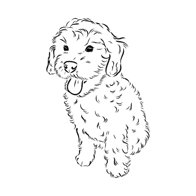 Premium vector labradoodle mix dog