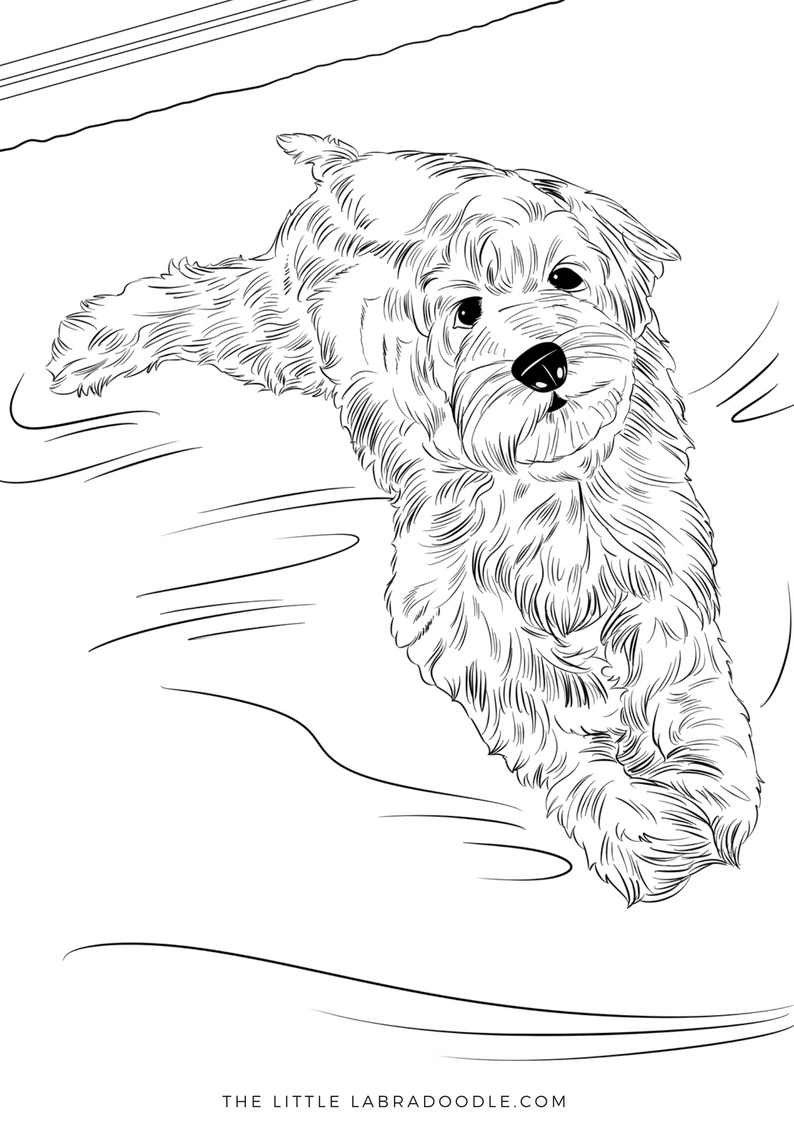 Doodle lovers adult coloring book mandy lounging dog coloring book dog coloring page puppy coloring pages