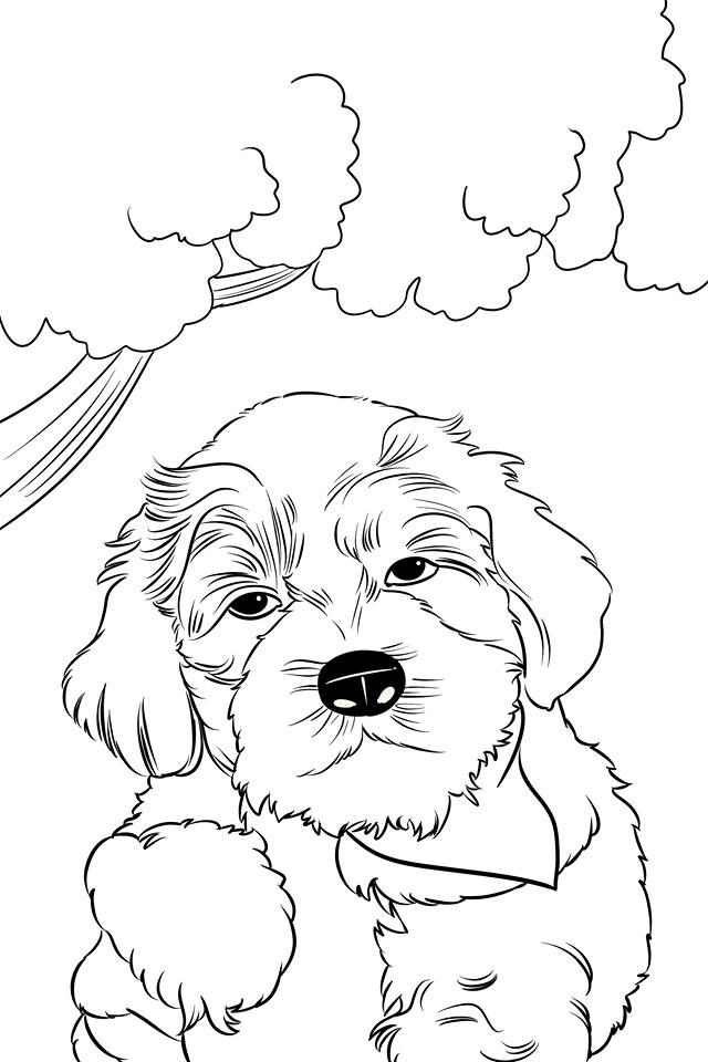 The little labradoodle friends coloring and activitypages thelittlelabradoodle