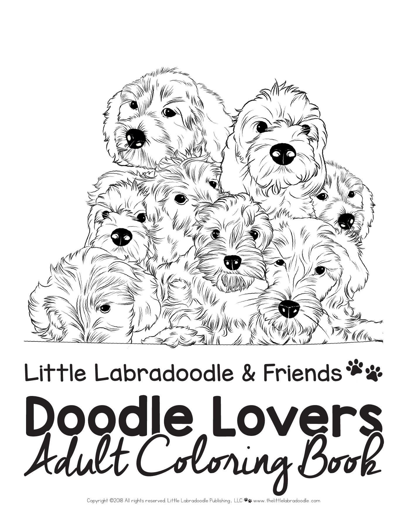 Doodle lovers coloring book for adults and older kids