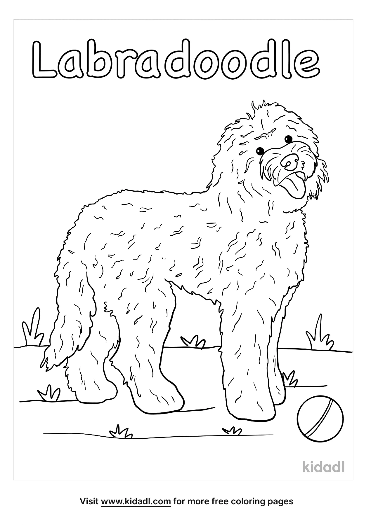 Free labradoodle coloring page coloring page printables