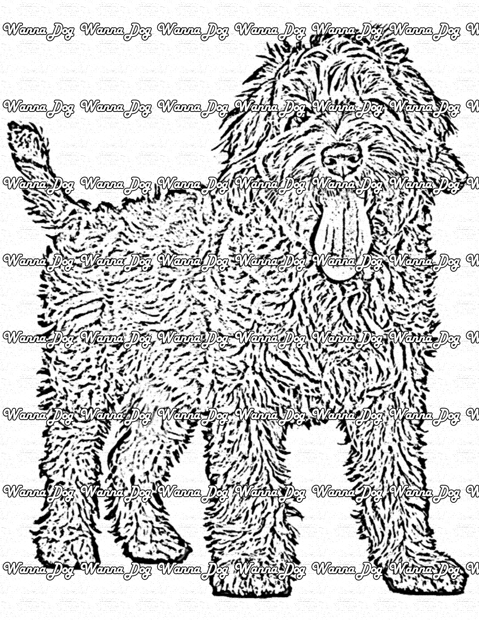 Labradoodle coloring pages â wanna dog
