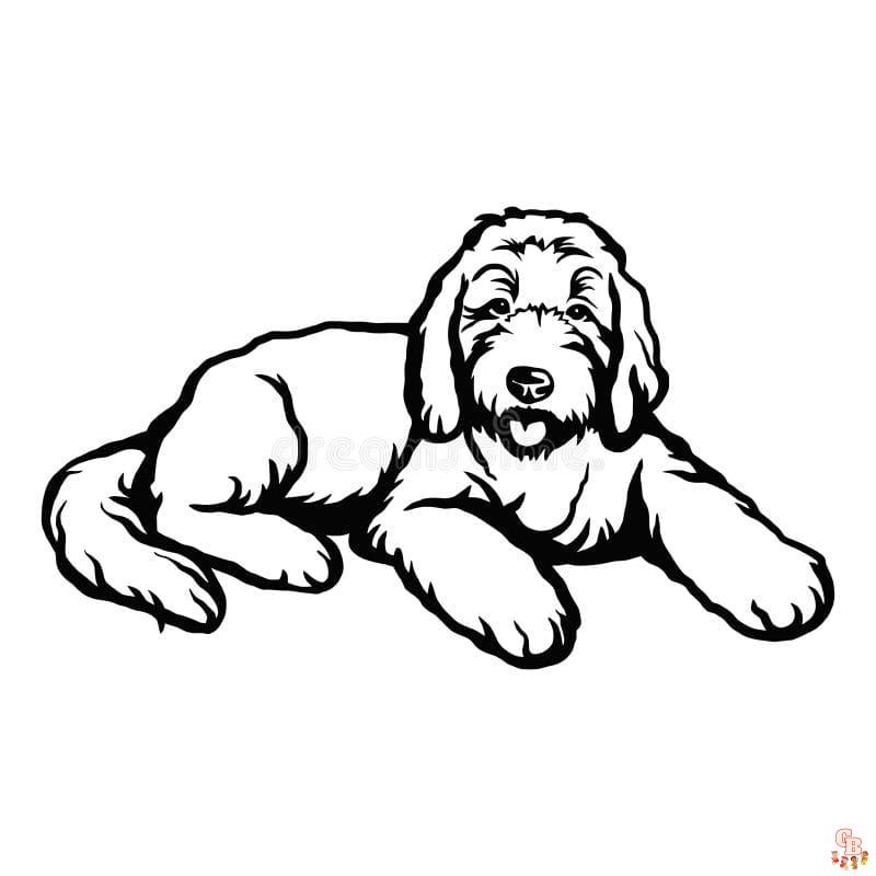 Printable goldendoodle coloring pages free for kids and adults
