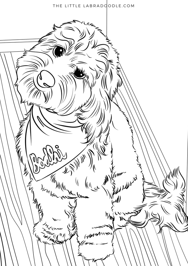 Doodle lovers coloring book brodie the therapy dog dog coloring book puppy coloring pages adult coloring pages